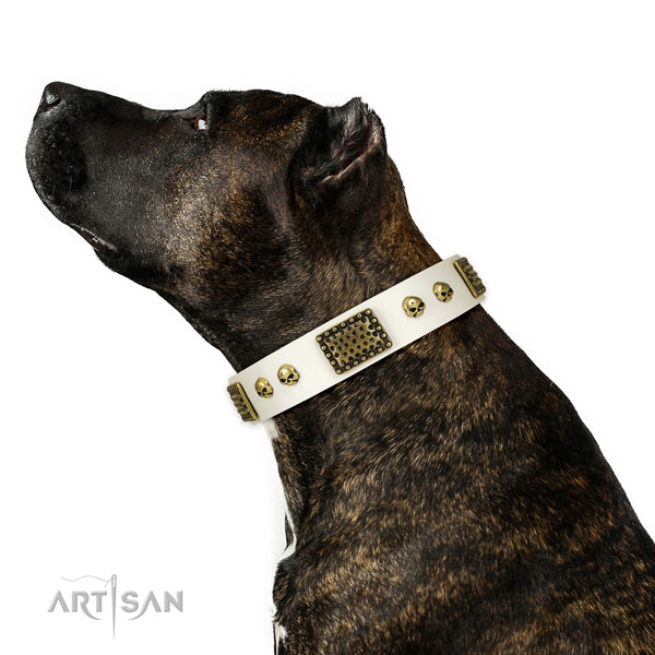 Reliable fittings on natural leather dog collar for basic training