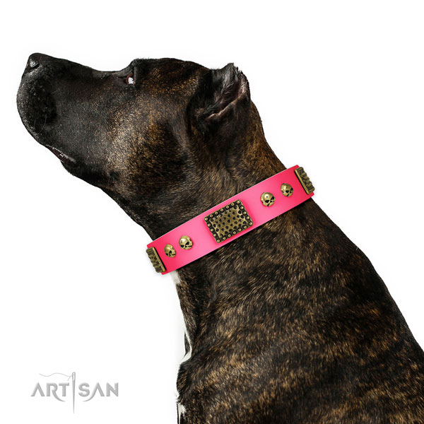 Strong traditional buckle on natural leather dog collar for handy use