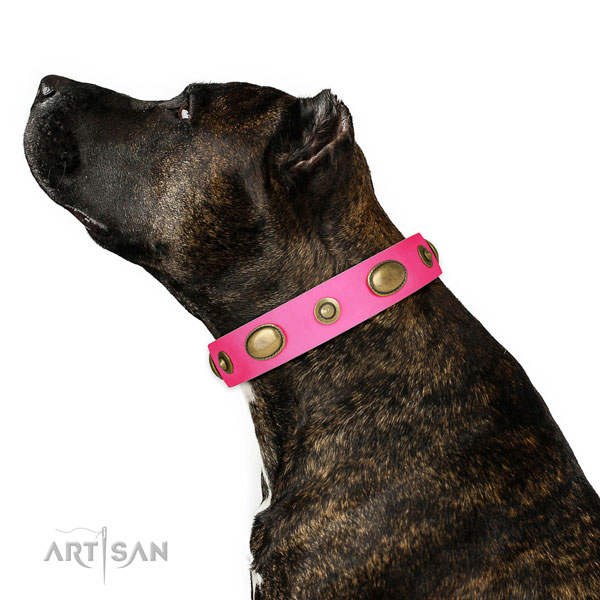 Easy wearing dog collar of leather with inimitable decorations