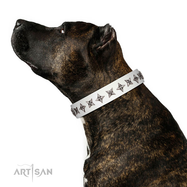 Durable full grain genuine leather dog collar with unique adornments
