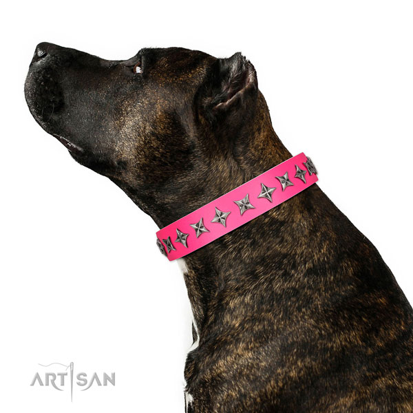 Finest quality full grain natural leather dog collar with exceptional adornments