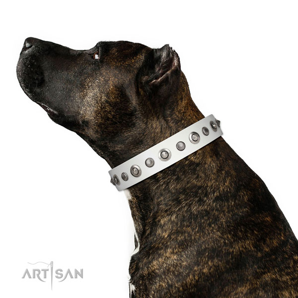 Genuine leather collar with corrosion resistant traditional buckle for your handsome canine