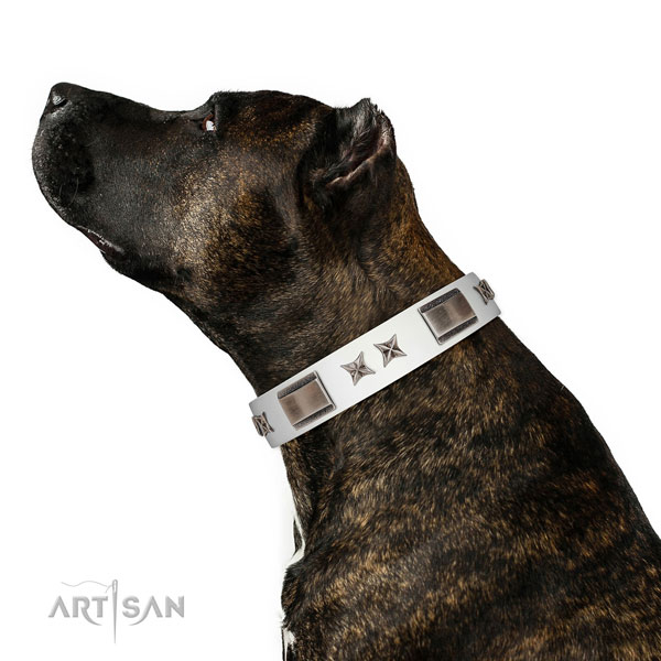 Best quality collar of full grain natural leather for your impressive pet