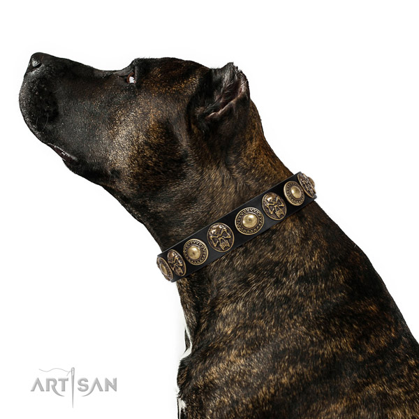 Unusual genuine leather collar for your handsome pet