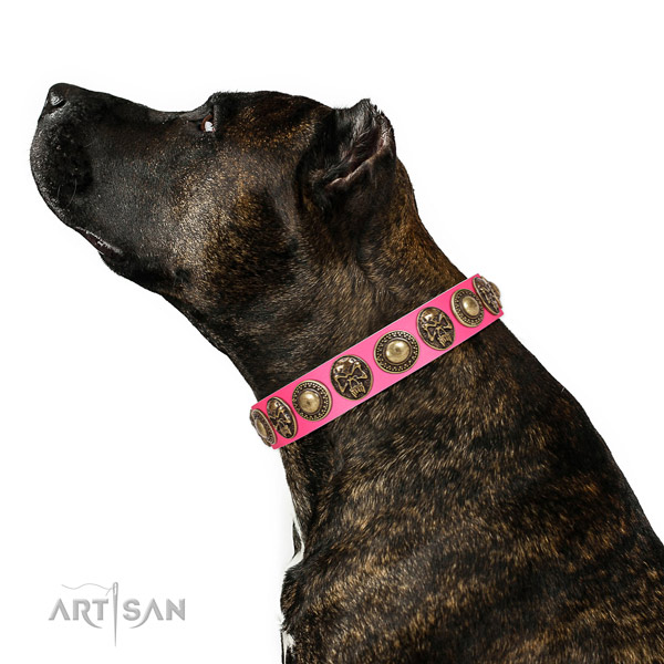 Handmade full grain natural leather collar for your handsome four-legged friend