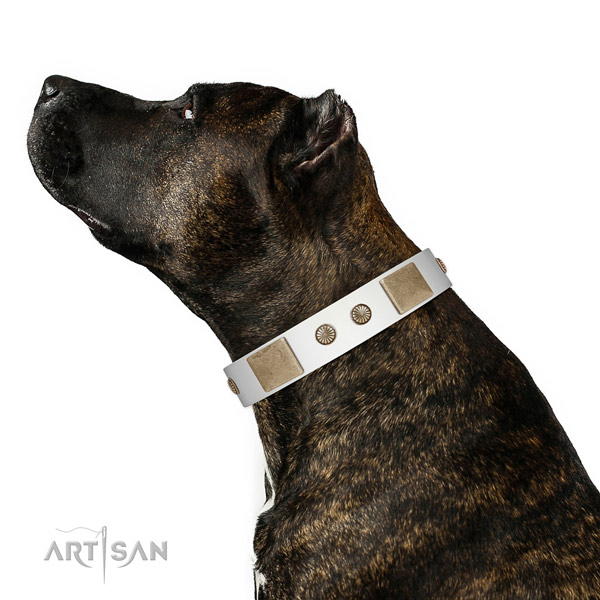 Reliable fittings on natural leather dog collar for basic training