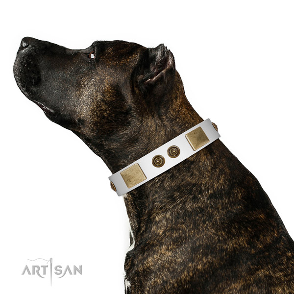 Comfortable dog collar created for your attractive four-legged friend