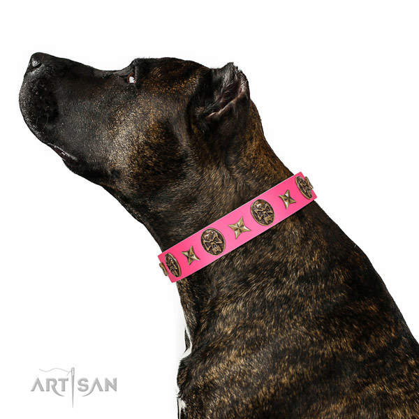 Handmade dog collar created for your beautiful dog