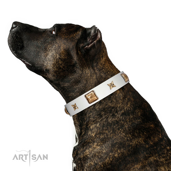 Stylish design full grain leather dog collar with embellishments