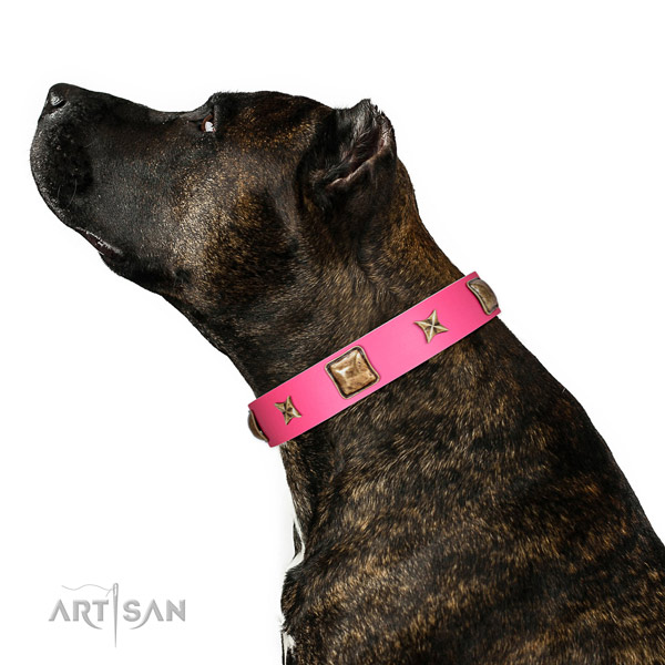 Full grain genuine leather dog collar of top rate material with designer embellishments