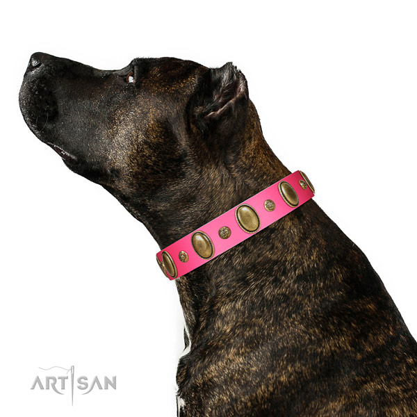 Walking soft genuine leather dog collar with adornments