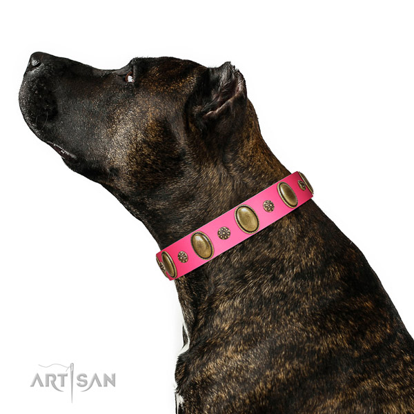 Soft to touch leather dog collar with reliable fittings