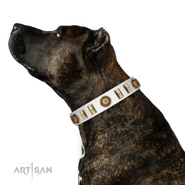 Awesome full grain natural leather dog collar with strong D-ring