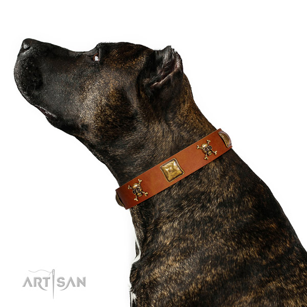 Trendy natural leather dog collar with corrosion resistant decorations