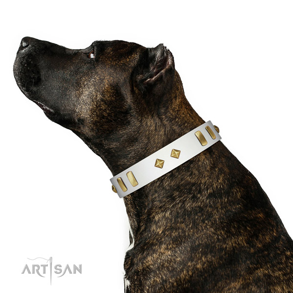 Easy wearing high quality full grain leather dog collar with embellishments