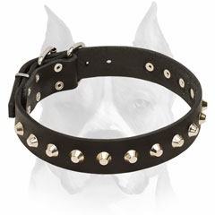 Amstaff Leather Collar With Pyramid Decoration