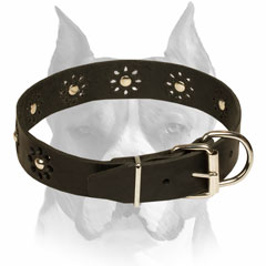  Amstaff Leather Collar Flower Decorated for Walking