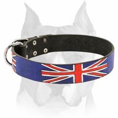 Painted leather dog collar for Amstaff breed