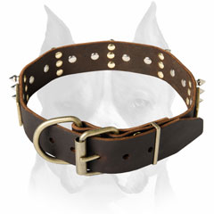 Amstaff breed leather dog collar     for stylish activities