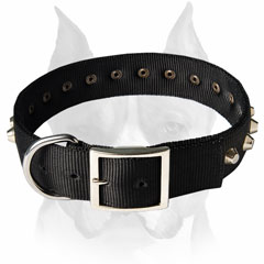 Nickel pyramids decorated nylon Amstaff dog collar