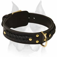 Walking and training braided leather dog collar for Amstaff