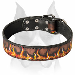 Multipurpose Amstaff hand painted dog collar for different activities