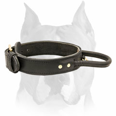 Amstaff leather training dog collar with fur protection plate