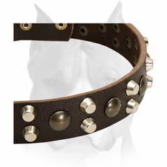 Fashionable leather comfortable dog collar for Amstaffs