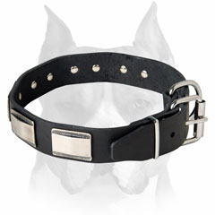 Amstaff breed leather dog collar with plates