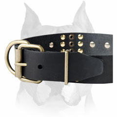 Decorated Leather Dog Collar for Amstaff breed