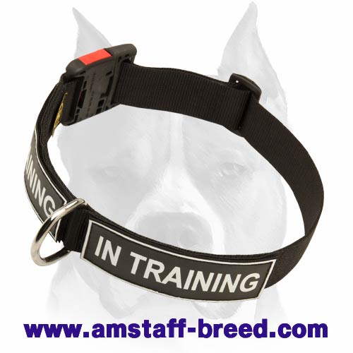 Order All Weather Nylon Amstaff Collar