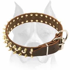 Handmade leather stylish dog collar for Amstaff