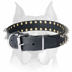 High class decorated timeproof leather dog collar for Amstaff