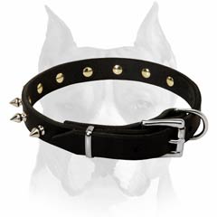 Leather dog collar designed with cool-looking spikes for Amstaff