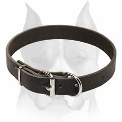 Classic leather dog collar for Amstaff breed