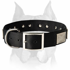 Originally designed nylon dog collar for Amstaffs