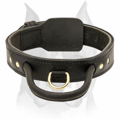 2 ply training leather dog collar for Amstaff breed