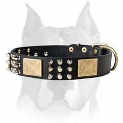 Amstaff leather dog collar for walking in style