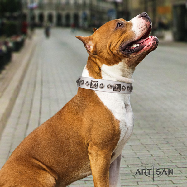 Amstaff unique full grain leather dog collar with decorations for handy use