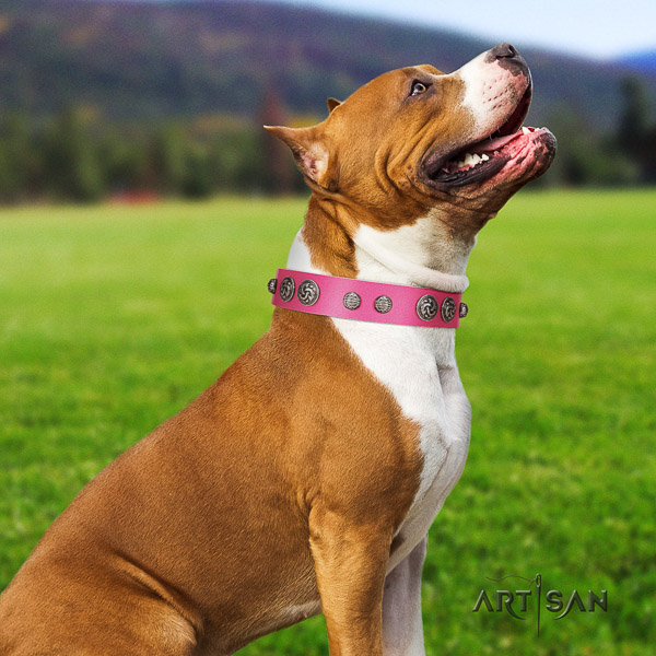 Amstaff adjustable natural genuine leather dog collar for handy use