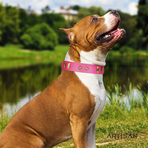 Amstaff decorated natural genuine leather dog collar for handy use