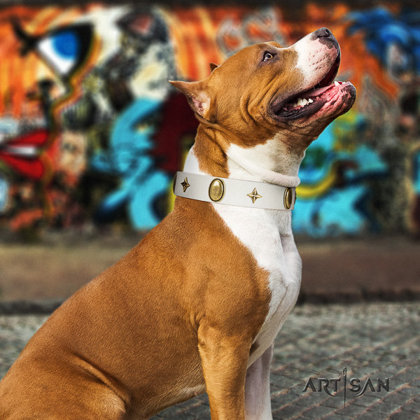 Amstaff remarkable natural genuine leather dog collar for easy wearing