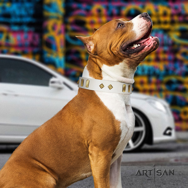 Amstaff easy to adjust natural genuine leather dog collar for comfy wearing