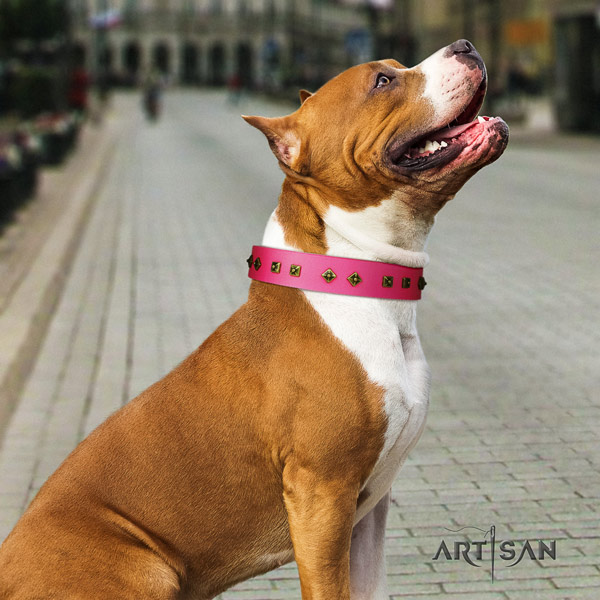 Amstaff unique leather dog collar with studs for comfortable wearing