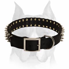 Multifunctional stylish spiked Amstaff dog collar