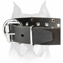 Perfect Amstaff quality and pretty leather dog collar