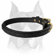 Amstaff leather dog collar for different activities in style