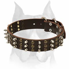Super strong and fashionable leather Amstaff dog     collar
