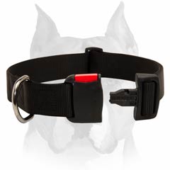 Amstaff nylon dog collar with quick release buckle for walking