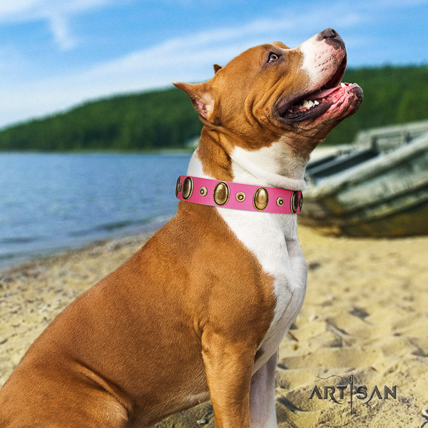 Amstaff easy adjustable genuine leather dog collar for comfy wearing